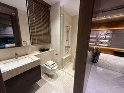Upperhouse At Orchard Boulevard (D10), Apartment #520679251